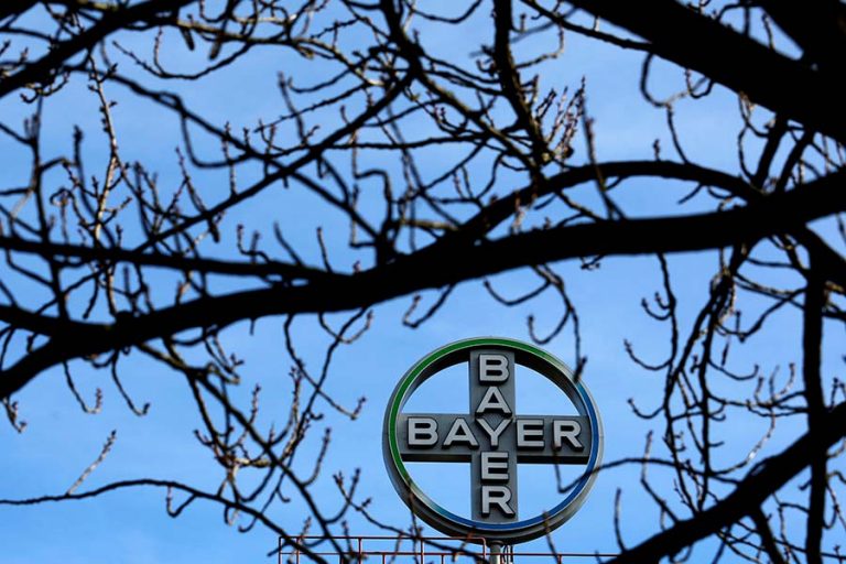 bayer-2