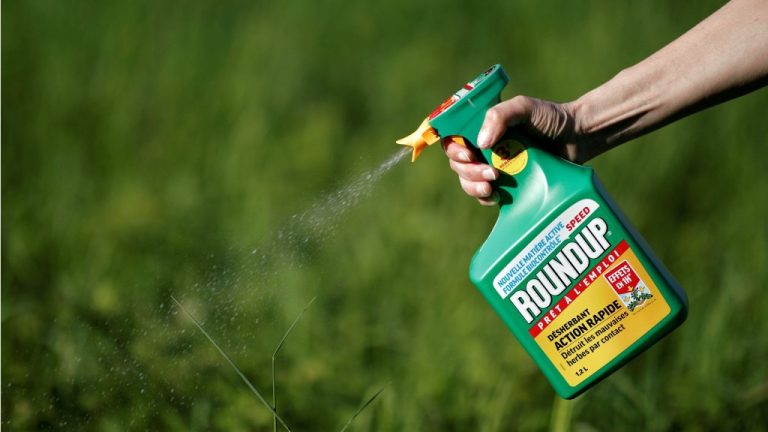 monsanto