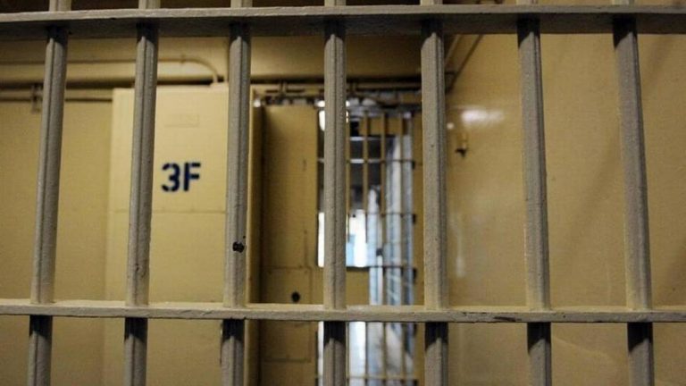 Stock jail bars
