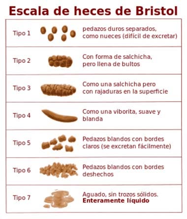 escala de heces de Bristol