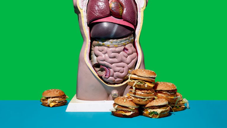 20SCI-QUESTIONS-FAT-videoSixteenByNine768