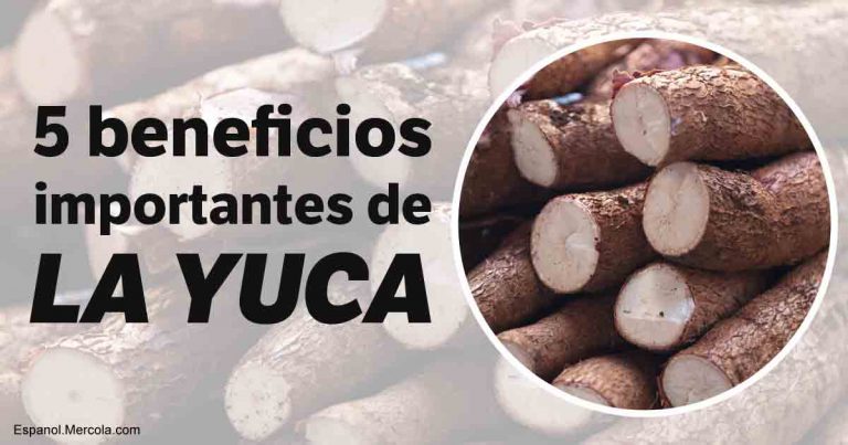 12-10-benefits-of-cassava-es-fb