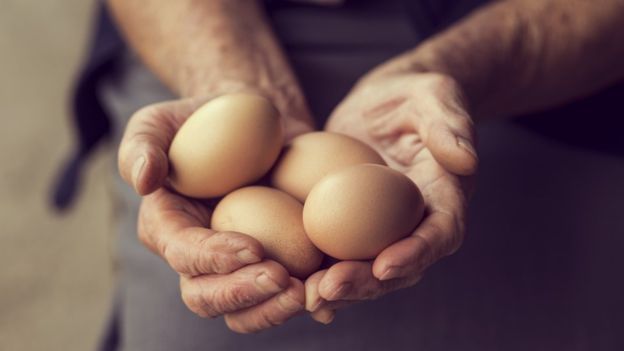 Manos masculinas sosteniendo varios huevos.