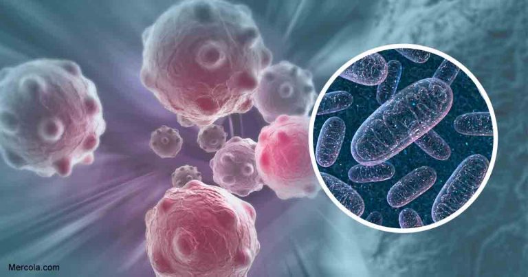 12-16-metabolic-mitochondrial-disease-fb