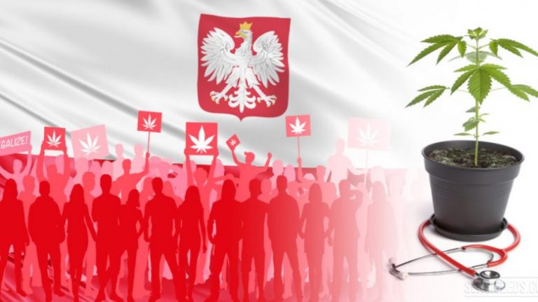 Legal-Status-of-Cannabis-in-Poland-E28093-An-Overview-1-1024x540-780x438