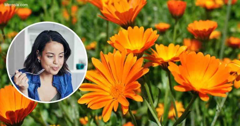 02-11-eating-marigolds-0005-fb