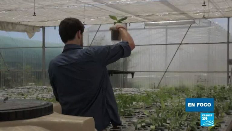 2019-02-01_1322_las_plantas_medicinales_de_la_isla_de_la_reunin_desde_la_naturaleza_a_los_laboratorios_avanzados