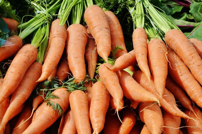 carrots-366191_1280