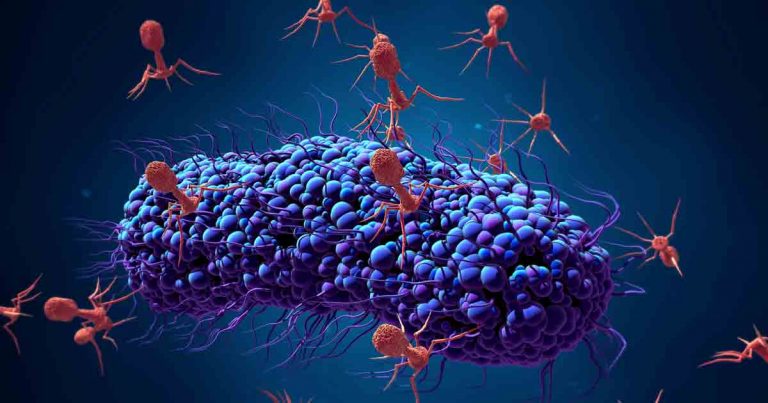 how-a-virus-can-save-your-life-fb
