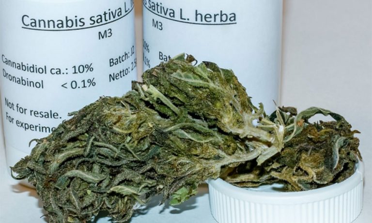 MARIHUANA-MEDICINAL19