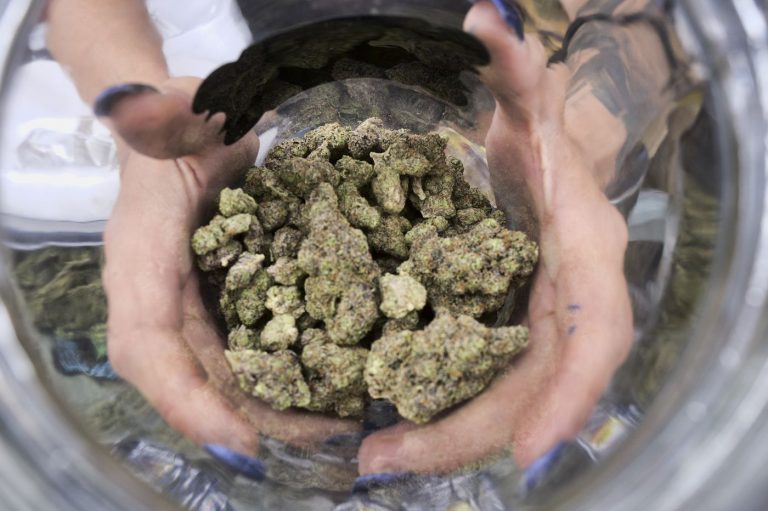 big marihuana