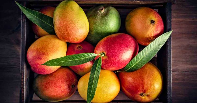 mangos-blog-fb