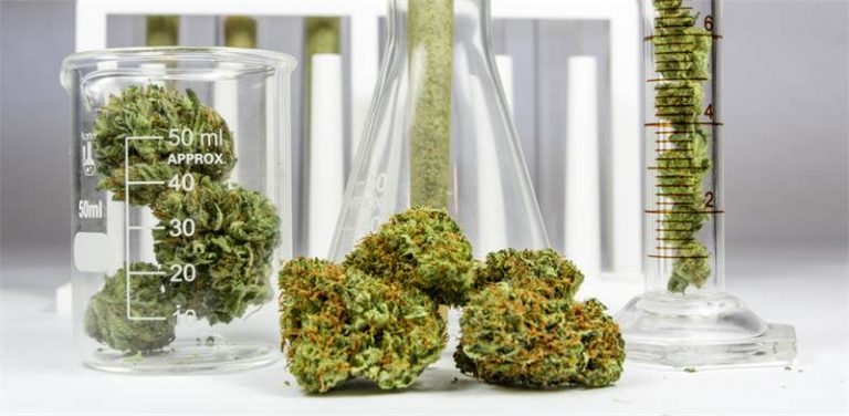 cannabis-medicinal