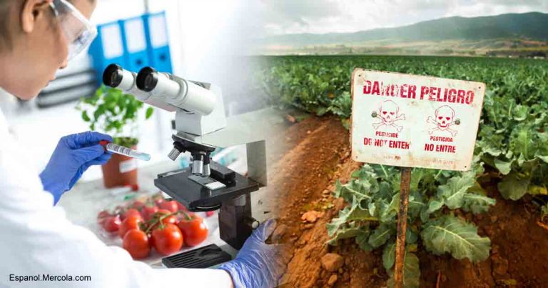 glyphosate-es-fb