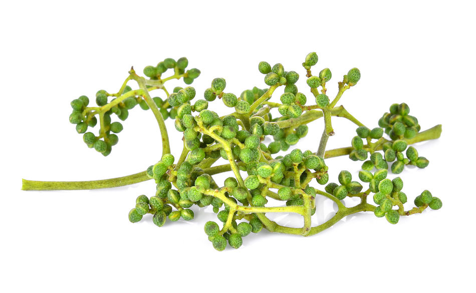 Makaen árboles para el aceite repelente de mosquitos