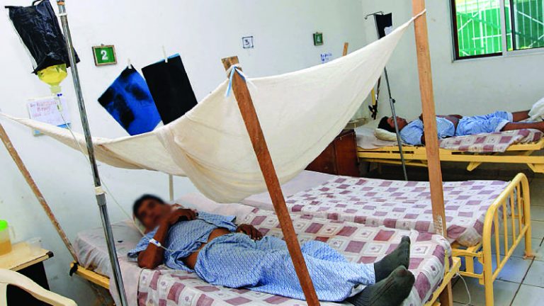 dengue