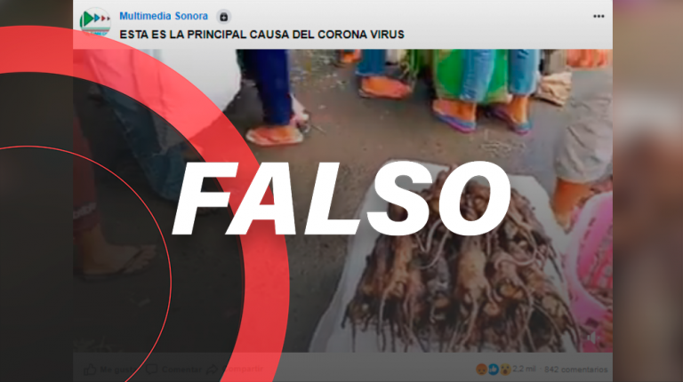 falso_causa-coronavirus