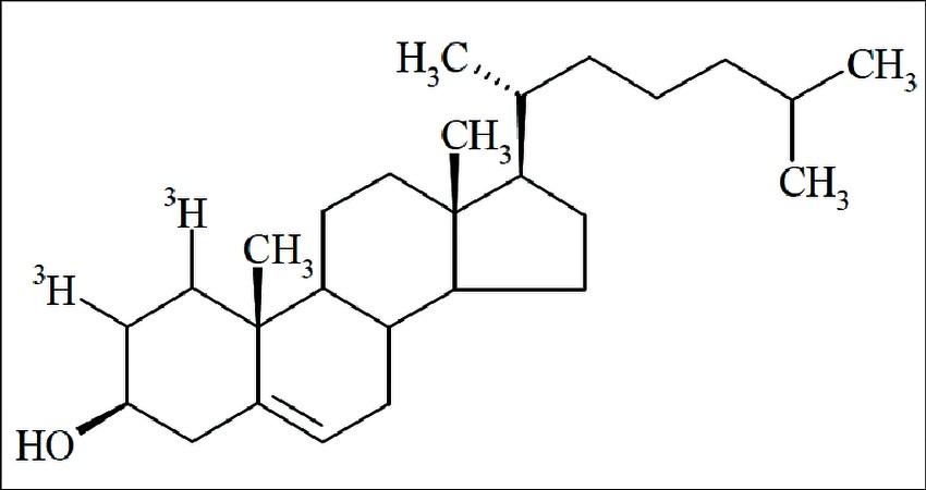 Fórmula del colesterol - C27H46O