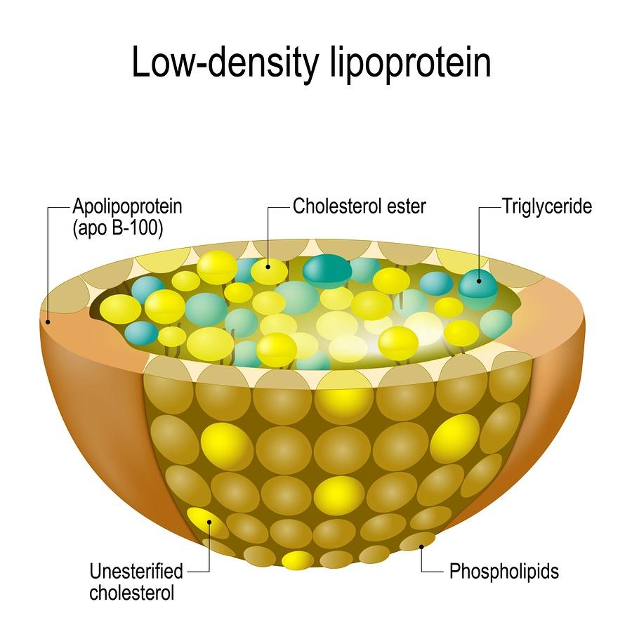 Esquema de la lipoproteína de baja densidad – LDL. (Imagen. Dr. Paul Fassa. Health Impact News. Febrero 2020).