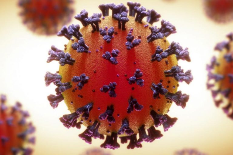 coronavirus-0