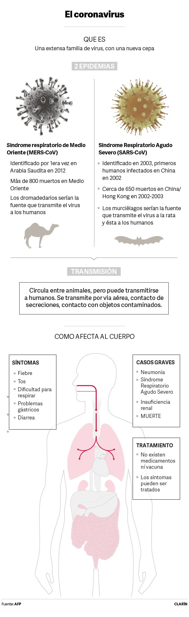coronavirus