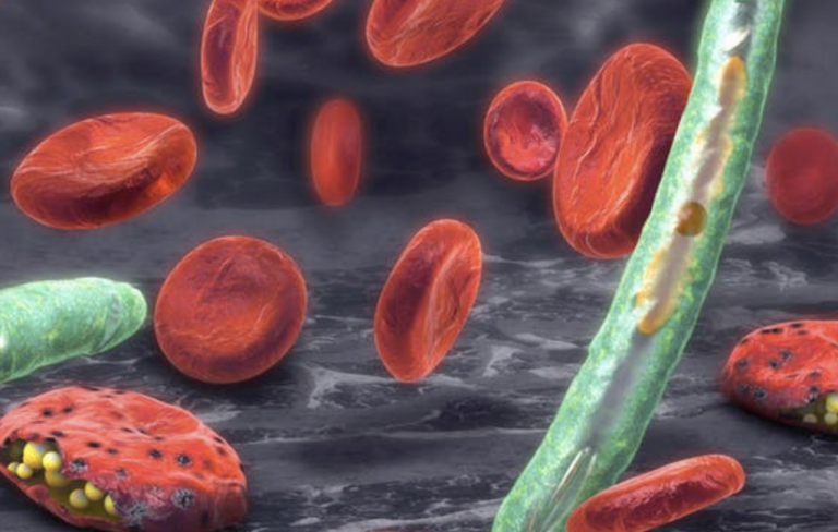 covid19malaria
