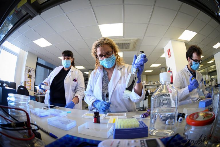 lab