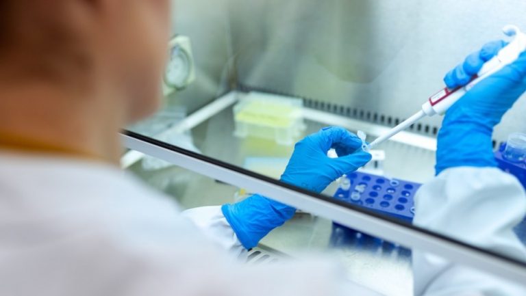 prueba genetica