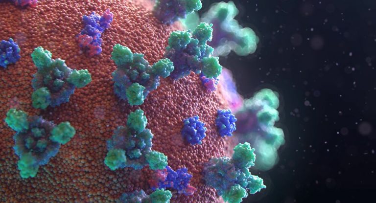 virus covid
