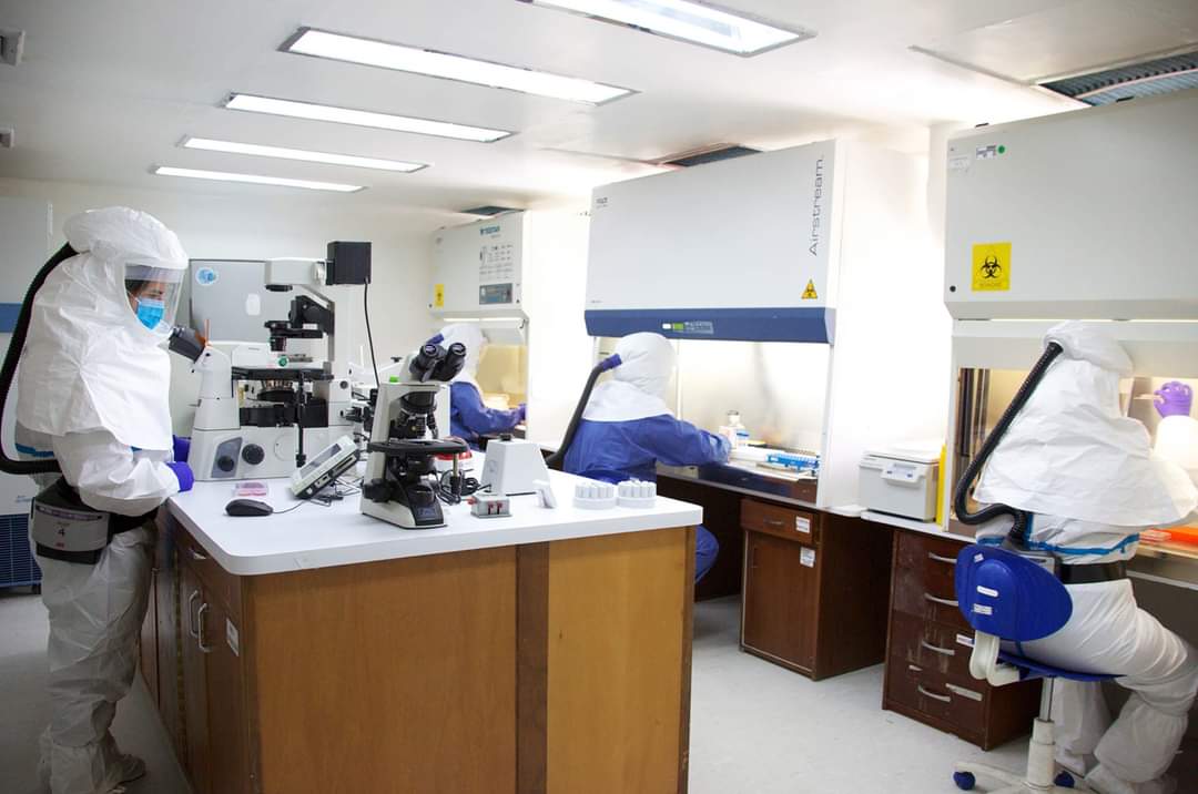 Carvativir