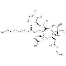 Tapsigargina, 97 %, ACROS Organics™ 1 mg Tapsigargina, 97 %, ACROS Organics™ | Fisher Scientific