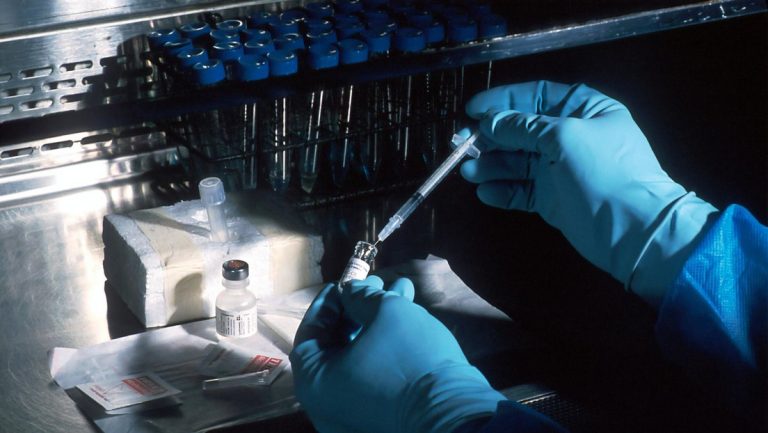 lab
