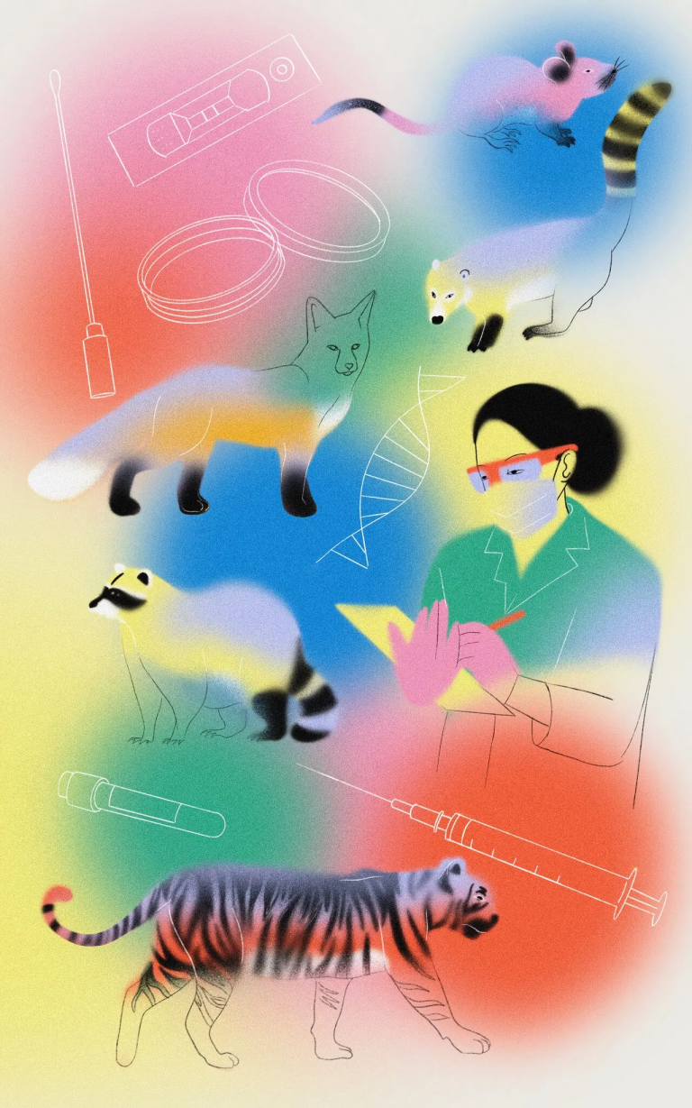 animales covid