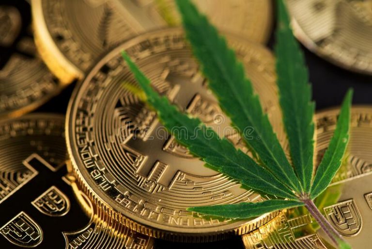 criptocannabis