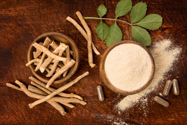 Ashwagandha: propiedades, beneficios y contraindicaciones - Cómo tomar ashwagandha