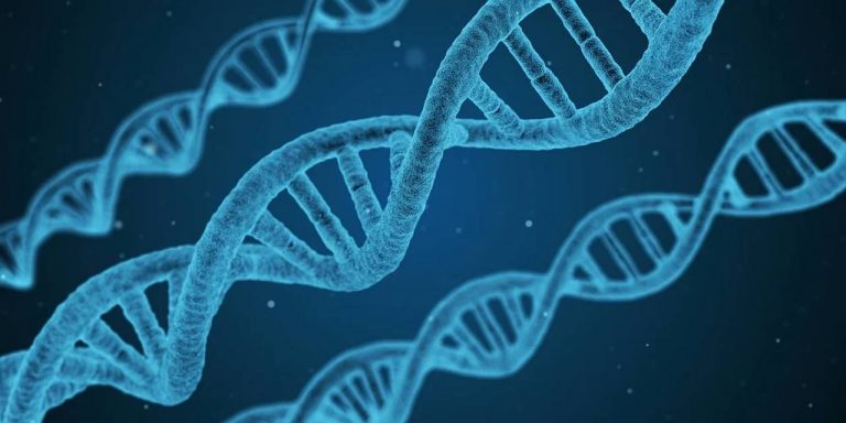 genes_03cc56b0_231116215653_1280x640