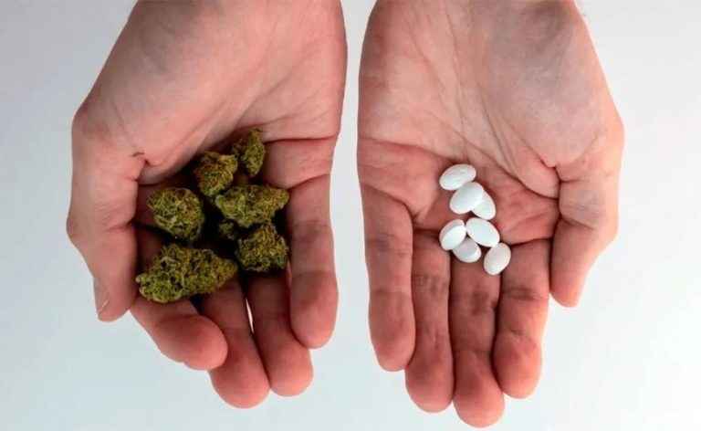 Ocho-de-cada-diez-personas-usuarias-sustituyen-fC3A1rmacos-por-cannabis.jpg