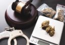 EEUU: ¿Qué implica reclasificar la marihuana de la Lista I a la III? ¿Estudios médicos lo respaldan?