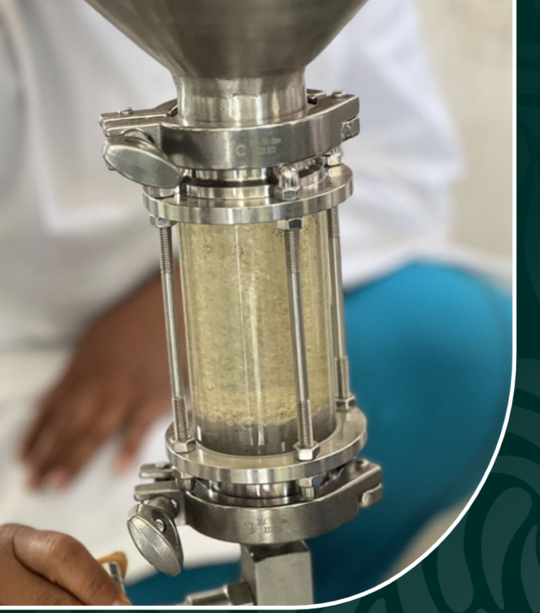 aceite esencial
